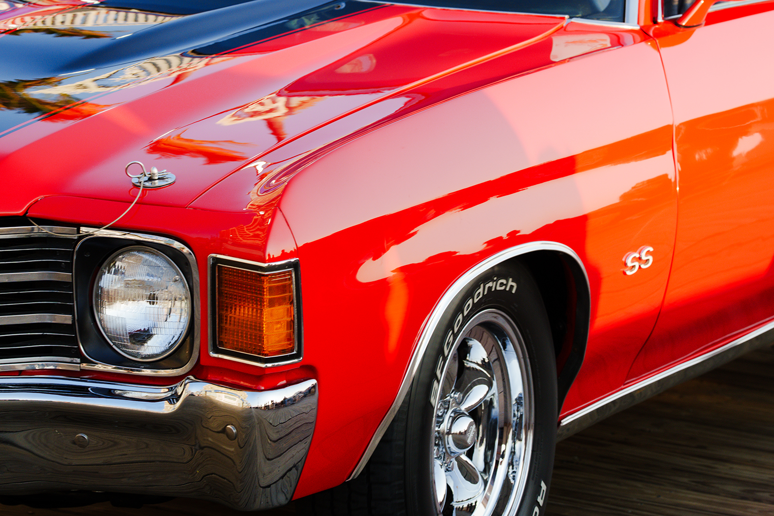 Endless Summer Cruisin